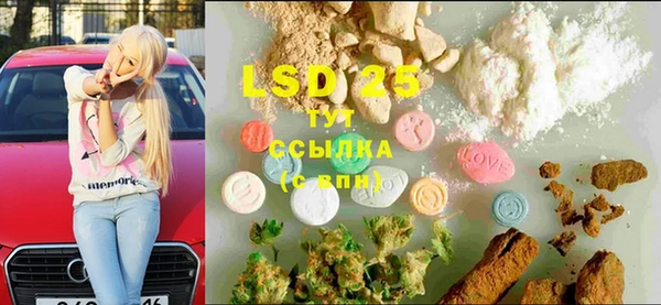 дмт Алзамай